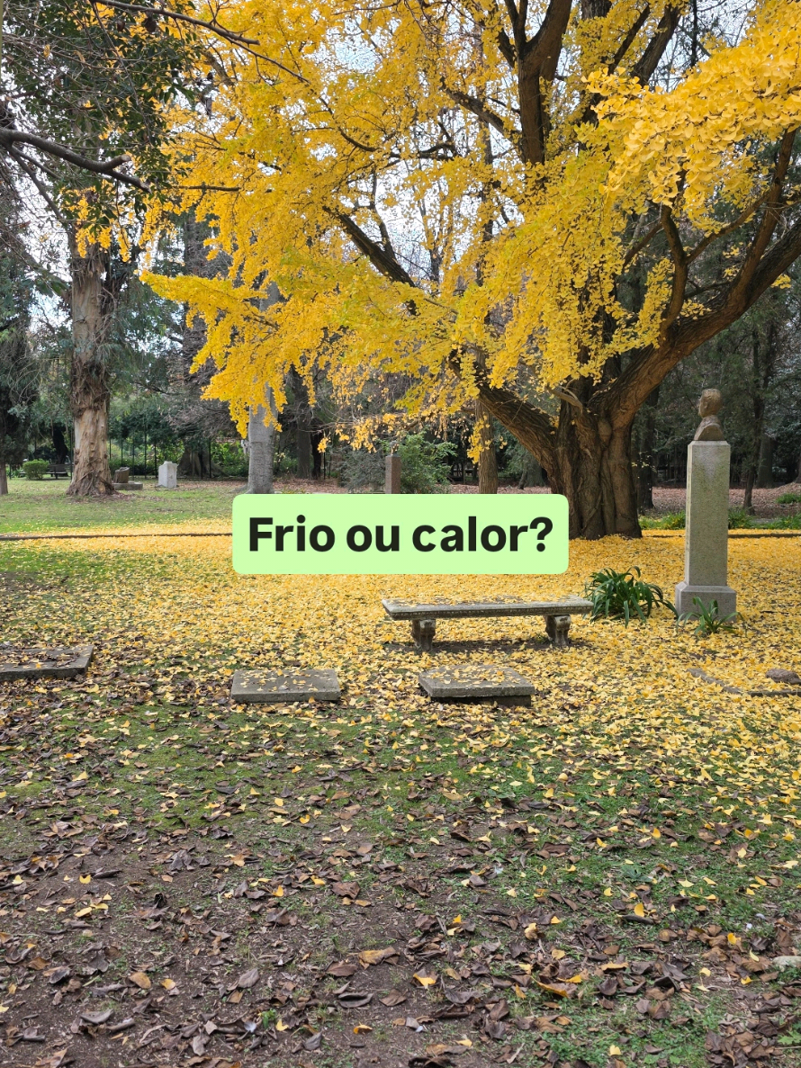@Pousos e decolagens
