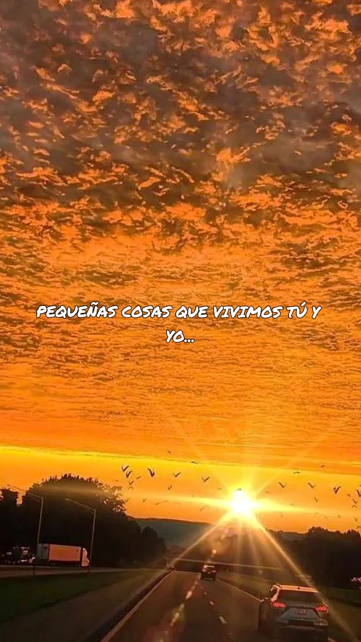 @Jean Cárdenas