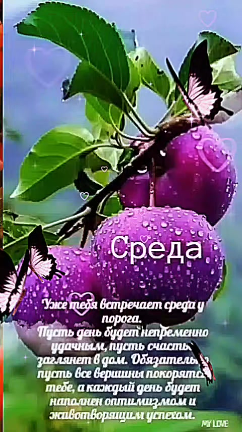 @Elenka