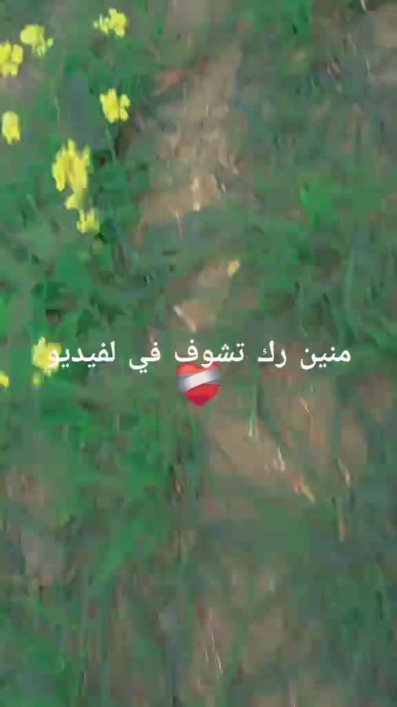 @الموالة اخالي الابقار