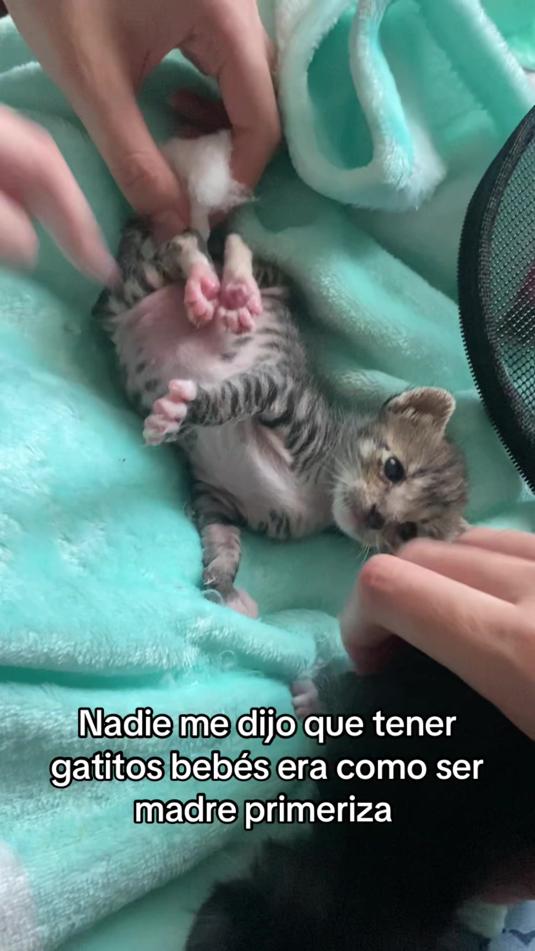 @Rayito y negrita
