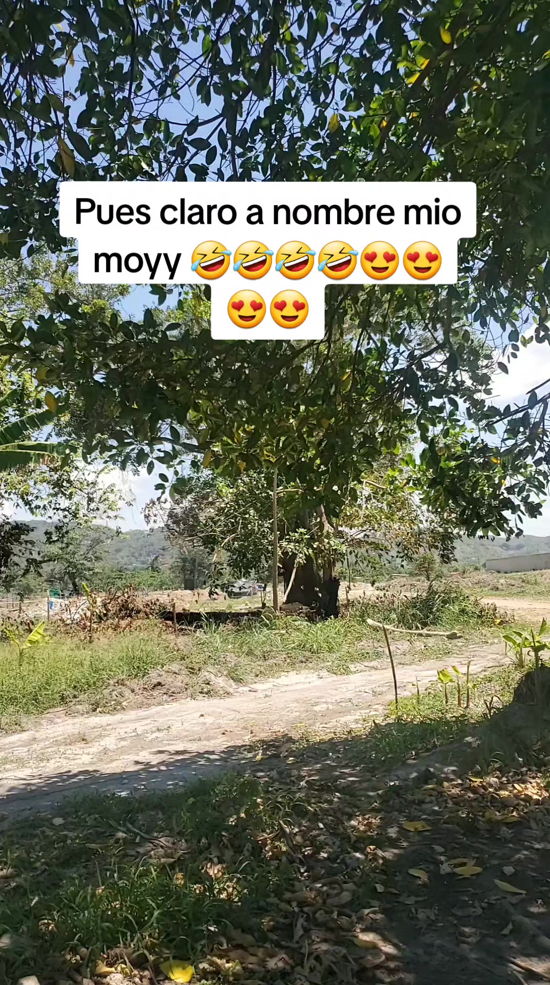 @CRISPITA 🦁🦁🦁🦁