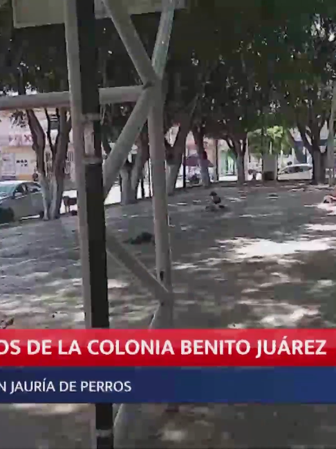 @Meganoticias Tehuacán
