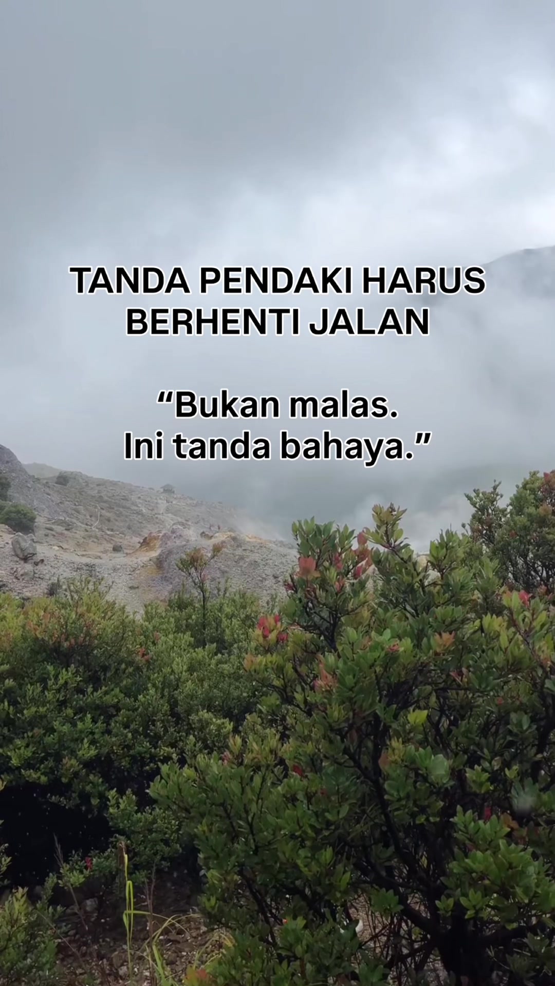 @Zaink Nst