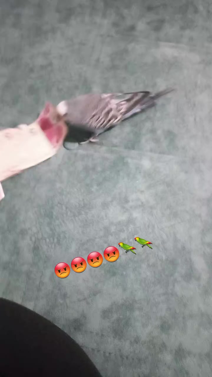 @Serpil Karaman