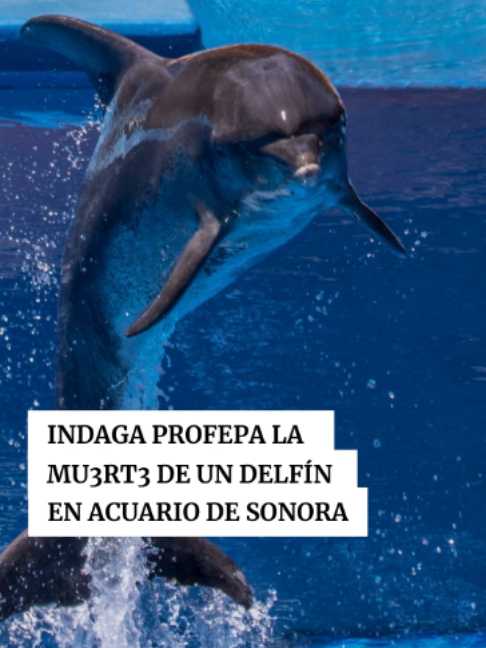 @Periódico Excélsior