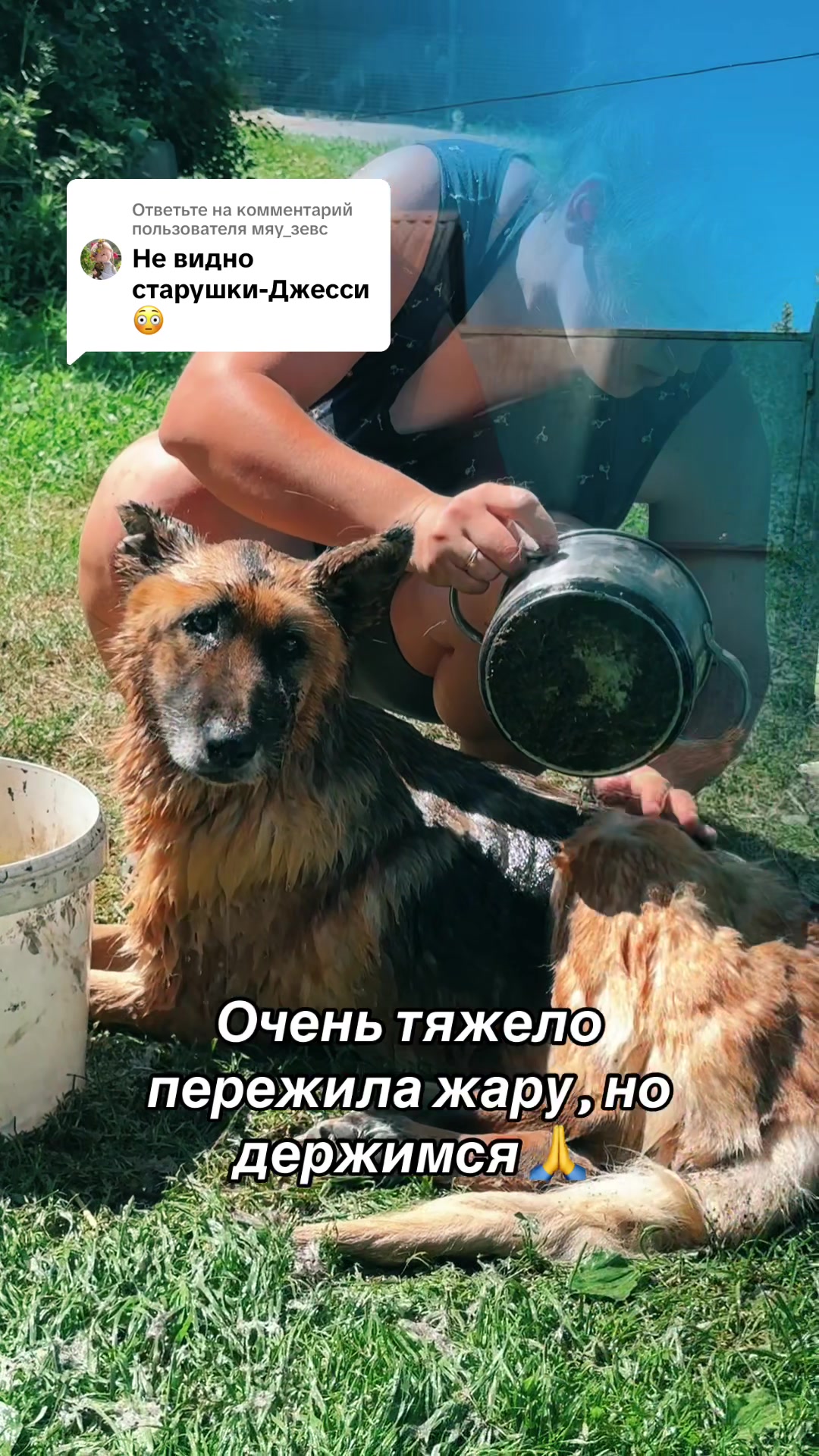 @Анастасия Чернявская.