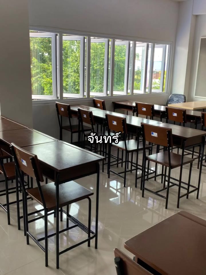 @นกฮูกแมว