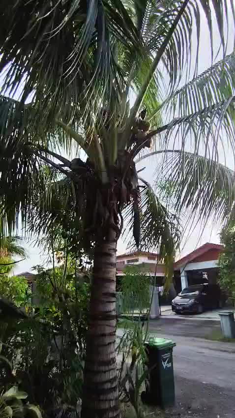 @Aziey Puterikedah