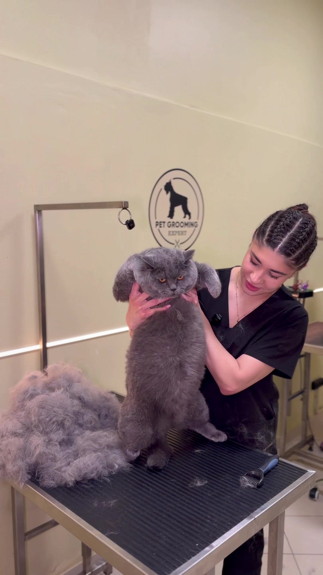 @PetGroomingExpert.md