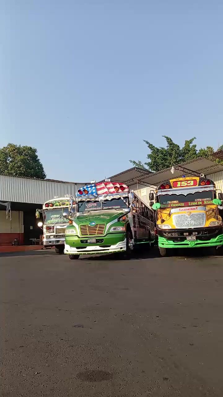 @buses elegantes 503