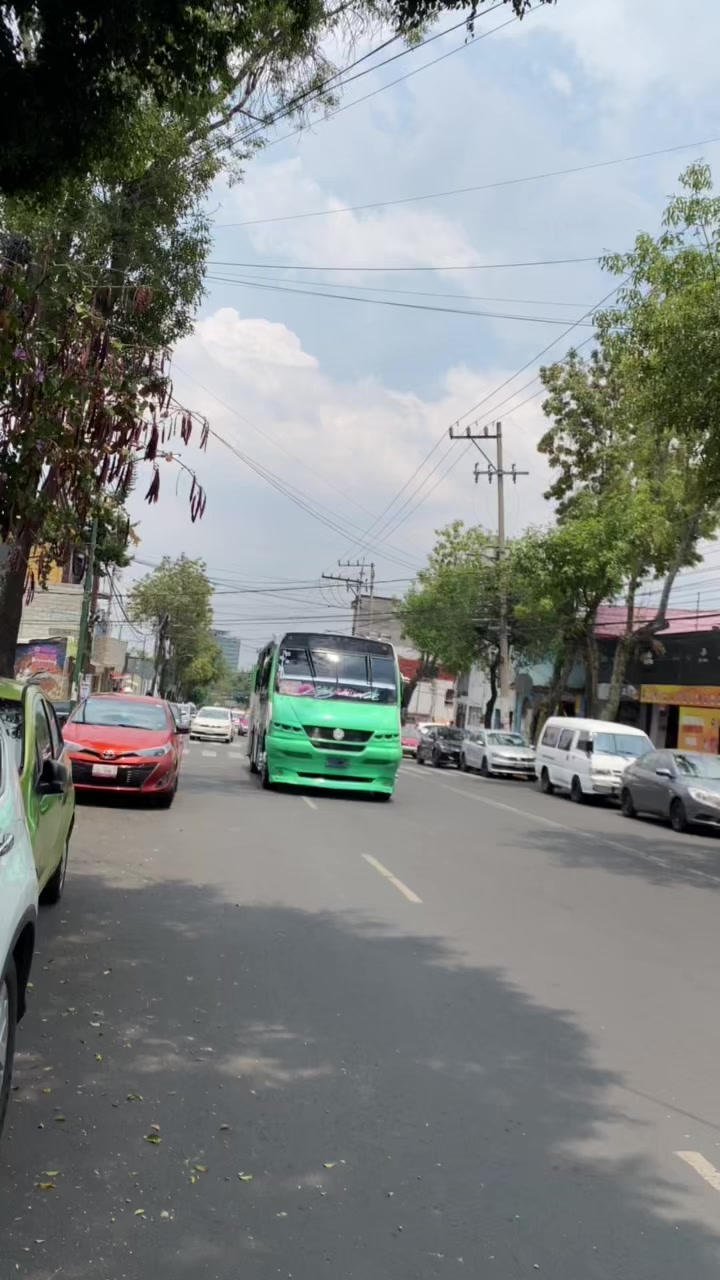 @BUSES ELEGANTES.🔥