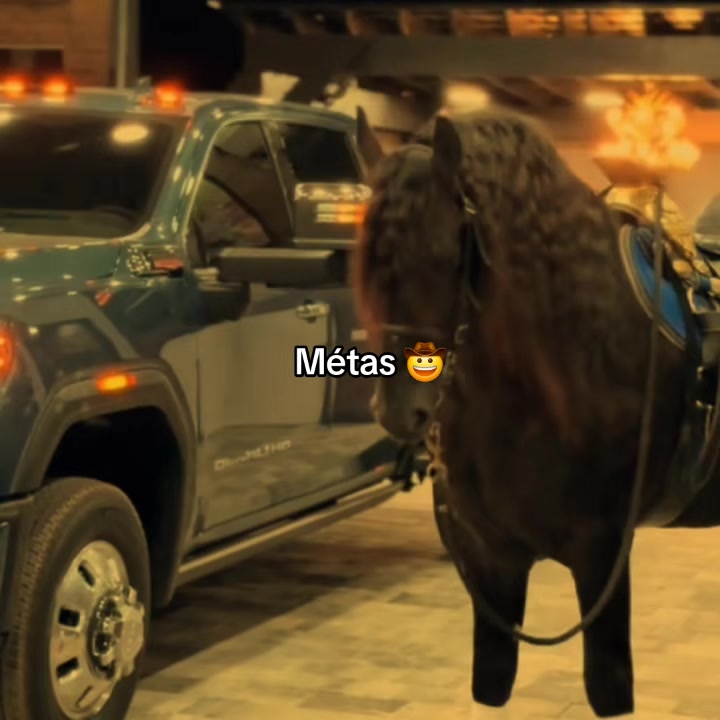 @ganader&iacute;a🐮 y caballo🐴☠️