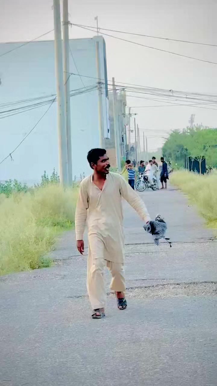 @عدیل رحمن لیہ وال کبوتر باز