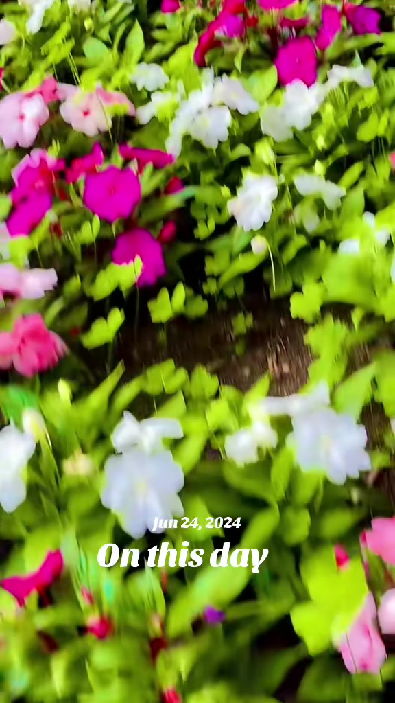@princetmg2830