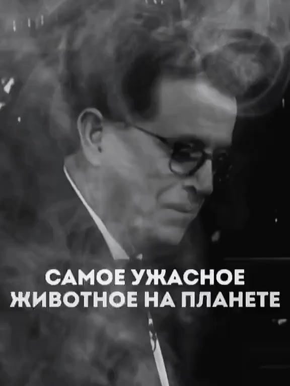 @✅YAMAÇ KOÇOVALI✅