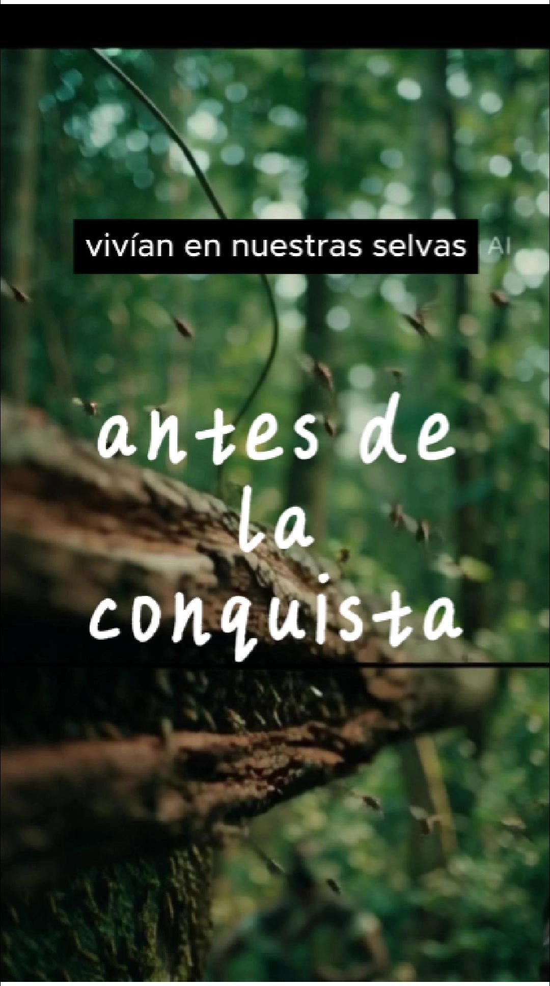 @santuario de las meliponas