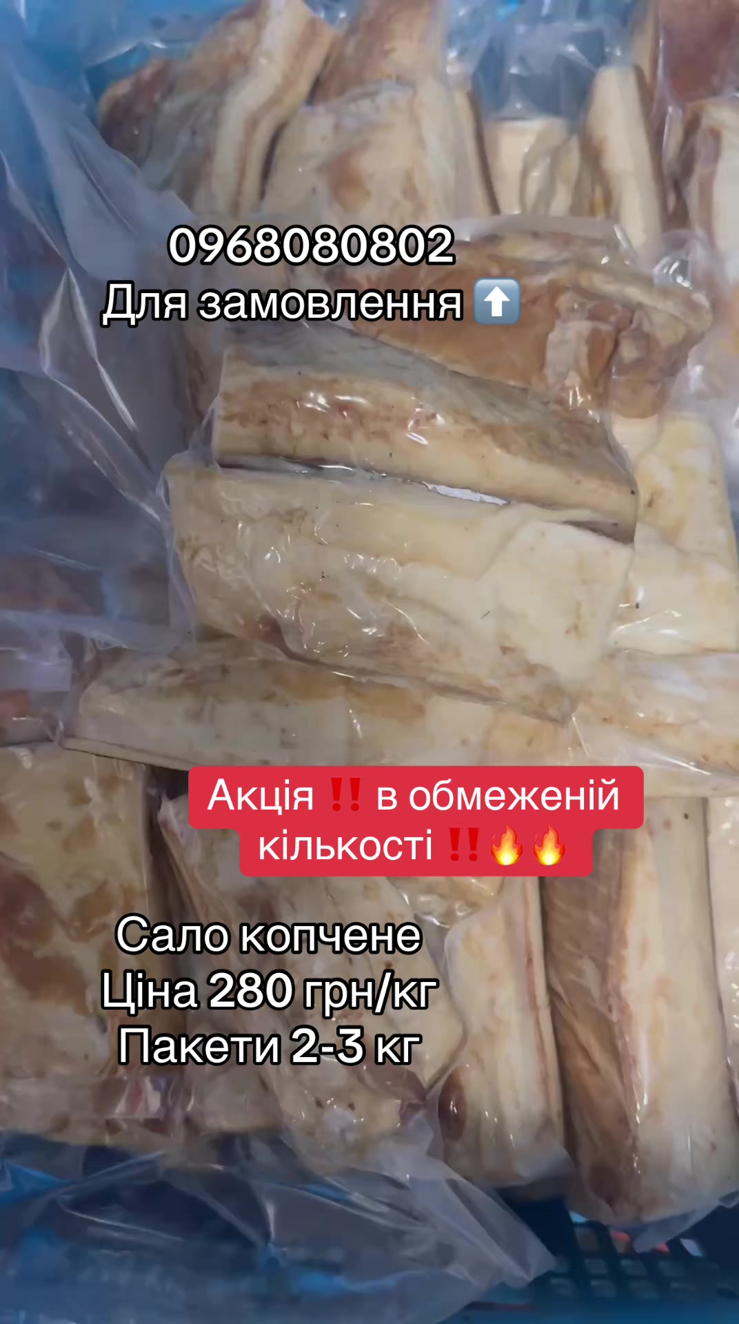 @msmakoluku