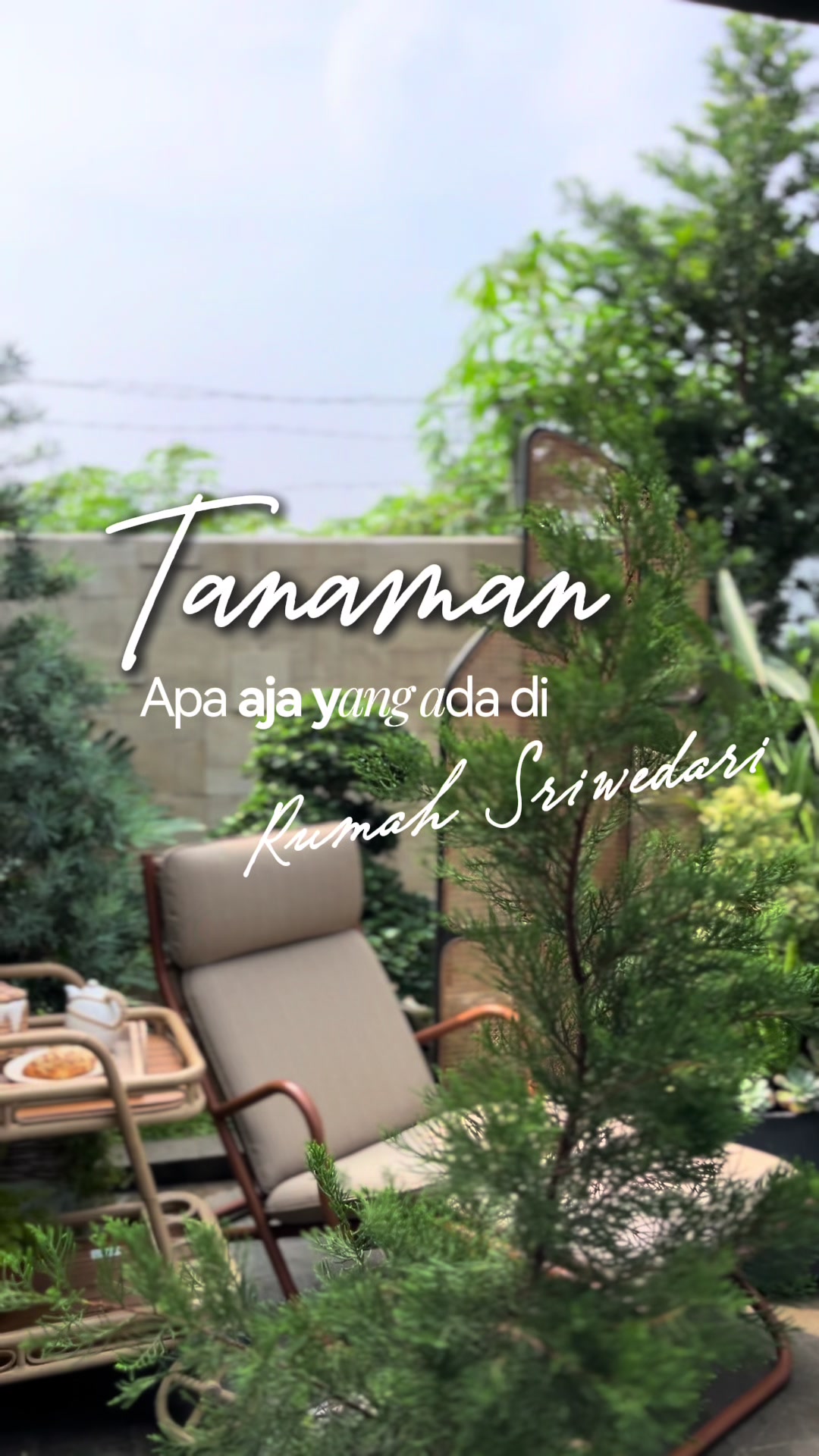 @rumahsriwedari