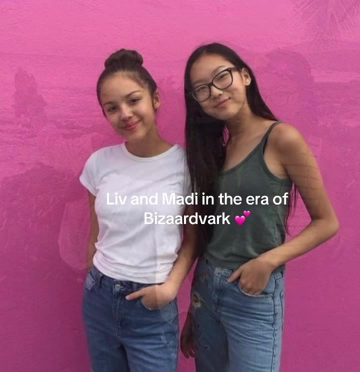 @bedlogical
