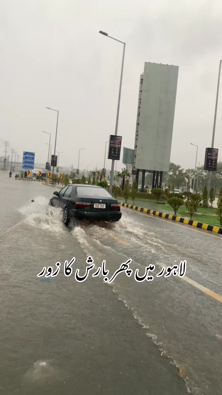 @foji sajjad