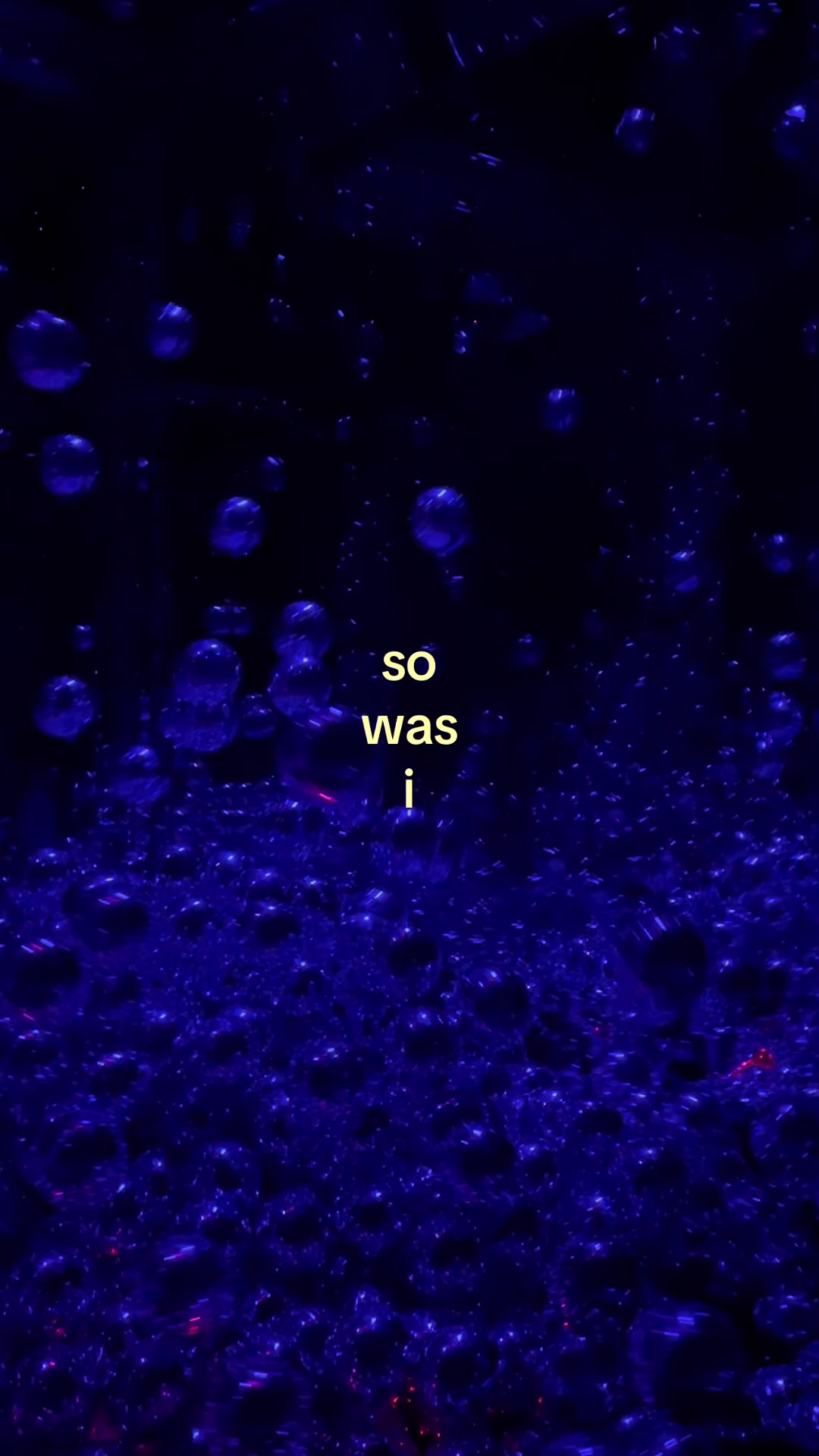 @⋆ ˚。⋆୨lyra୧⋆ ˚。⋆||bruised_soup