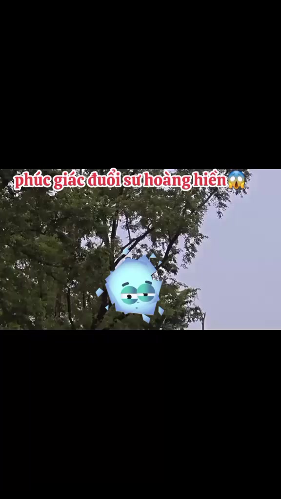 @Chanel Nguyễn