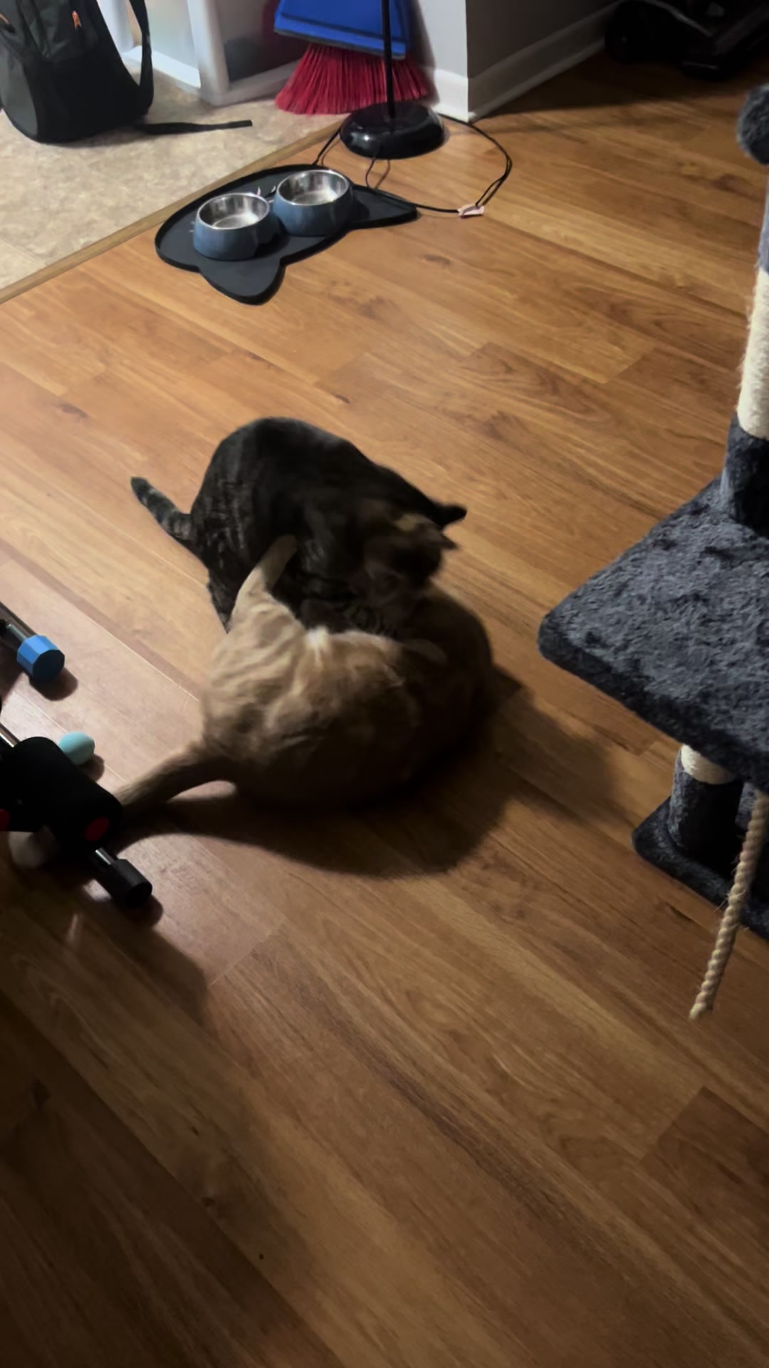 @Gypsy_pickles&leo