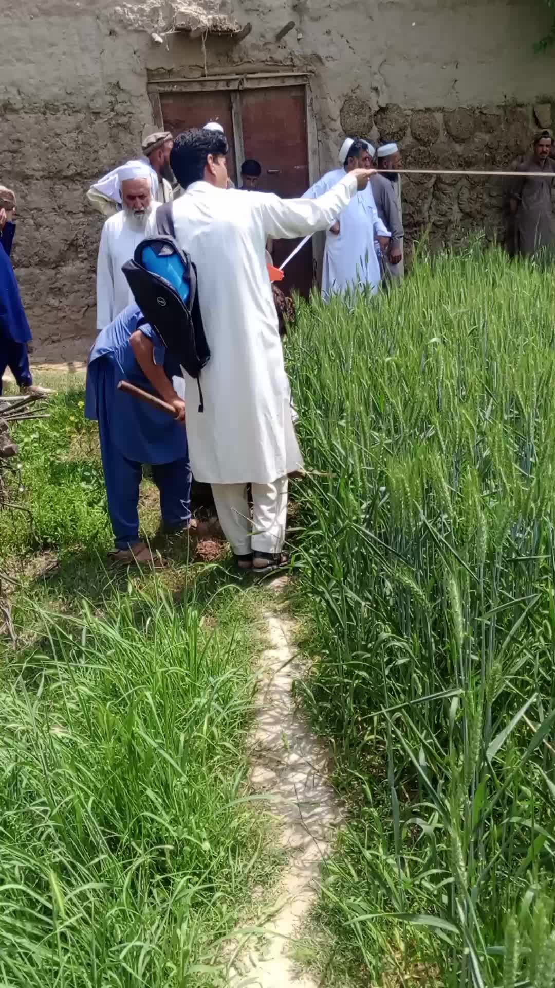 @Jan Nisar Safi