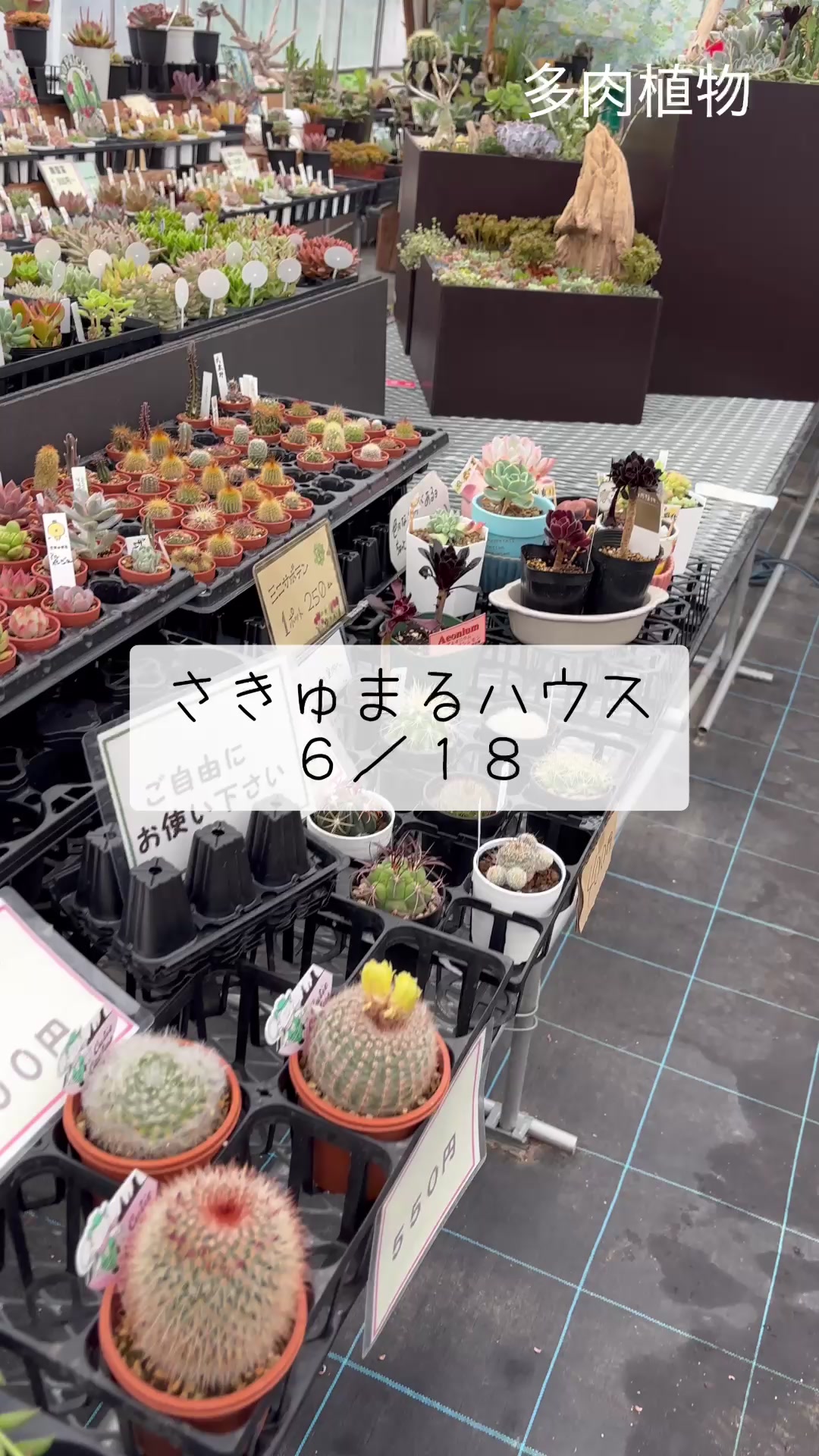 @さきゅまる~こぴとSHOP