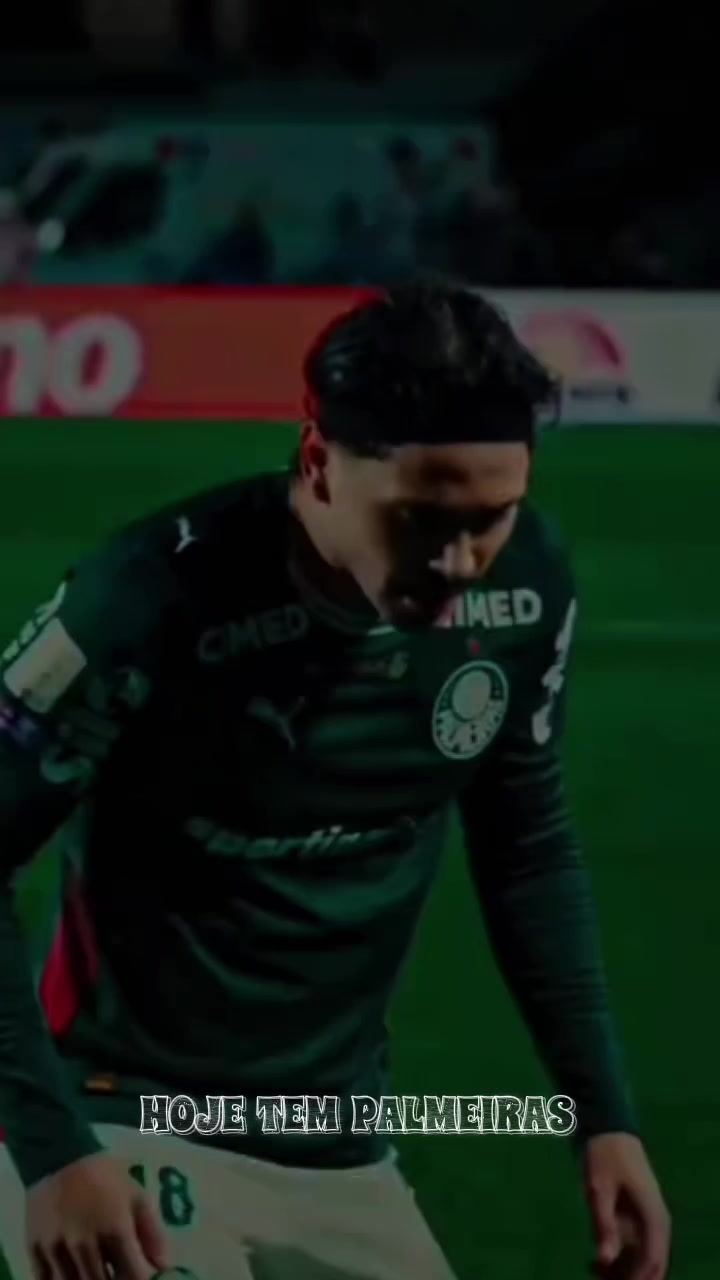 @palmeiras sempre
