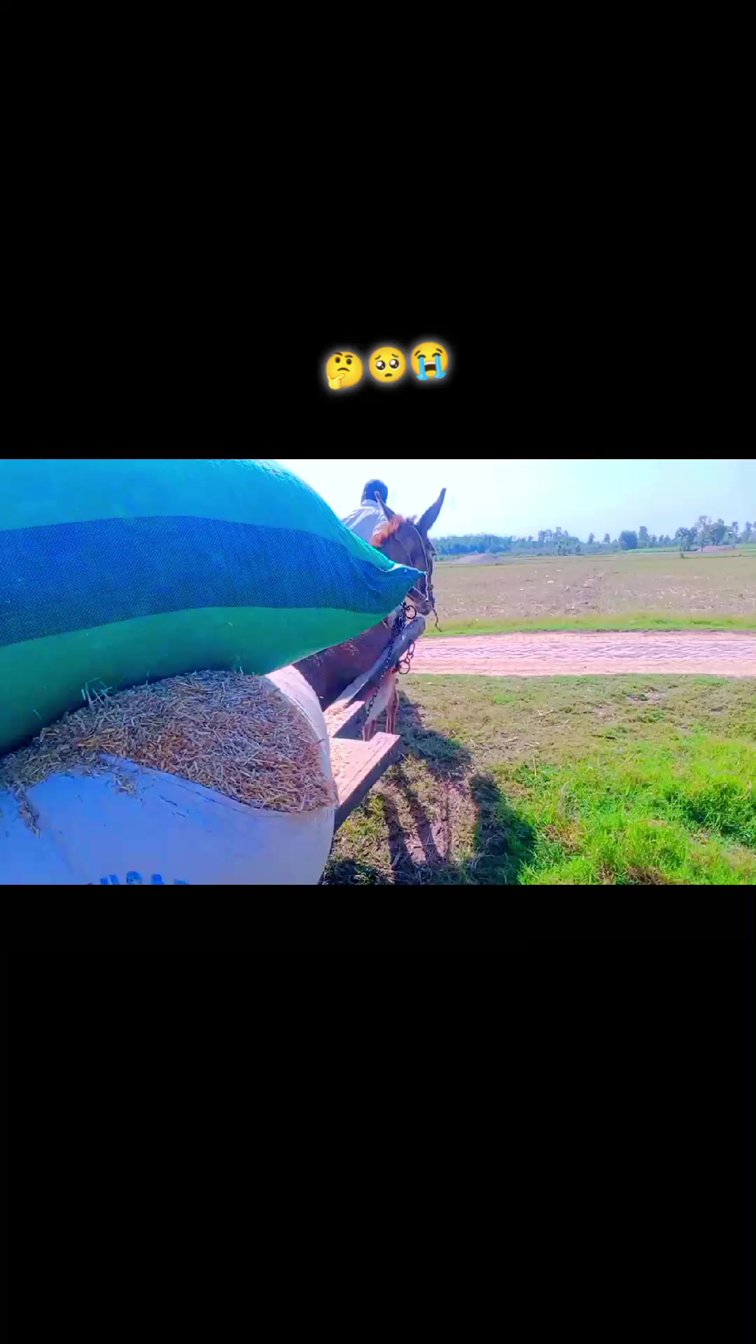@hsasnali786