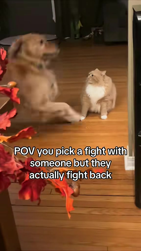 @Zoey