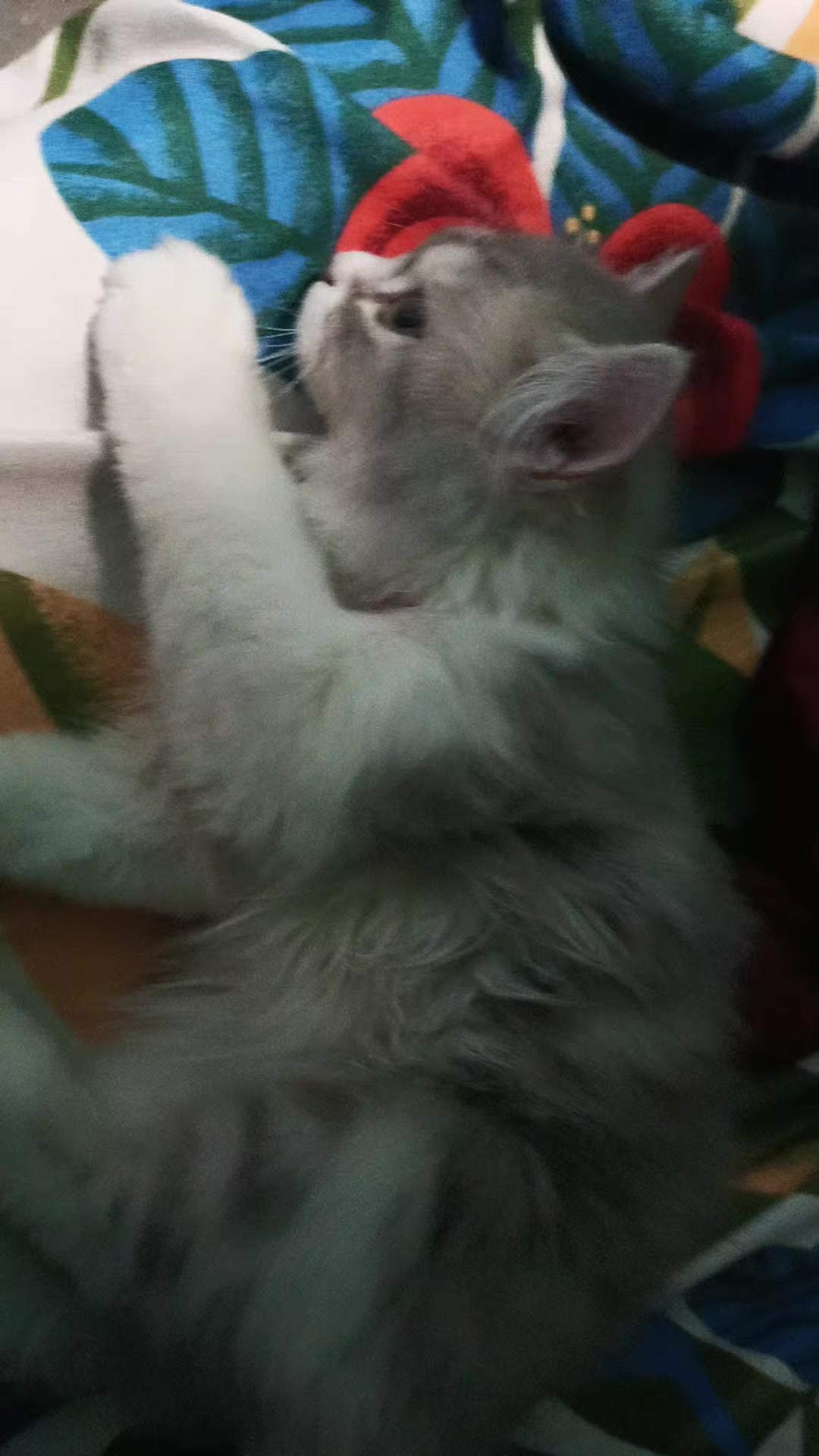 @M&ouml;čh&icirc;Gaming