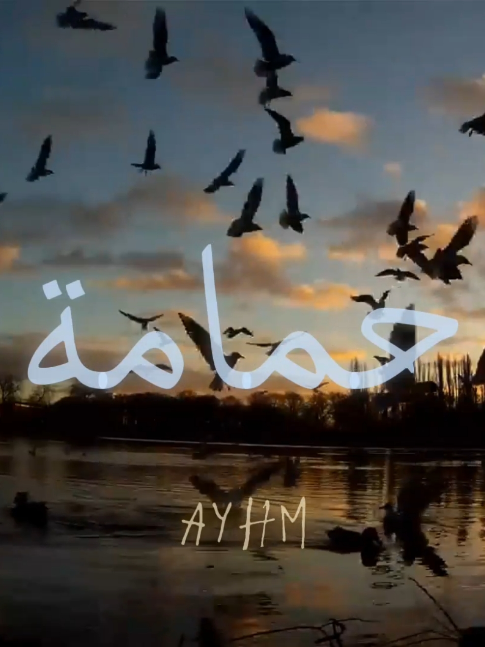@Ayhm