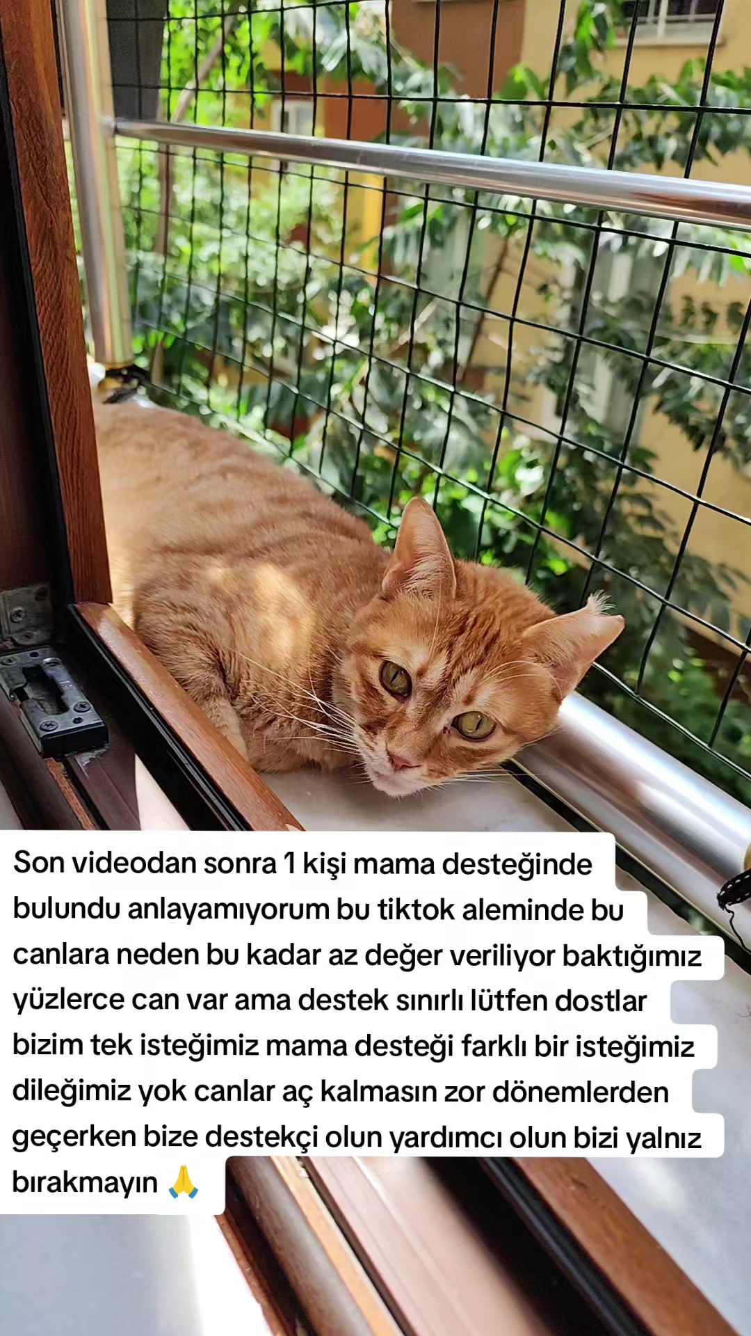 @@kedisizevolmaz