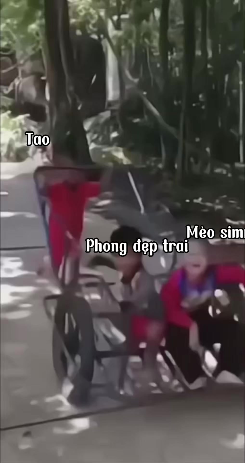 @Wenda vn 🇻🇳