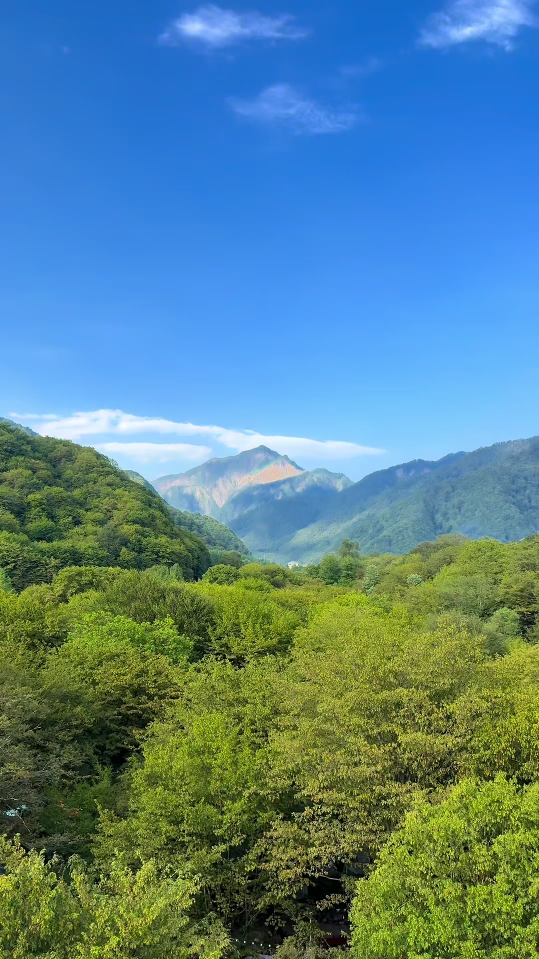 @𝑺.🇦🇿