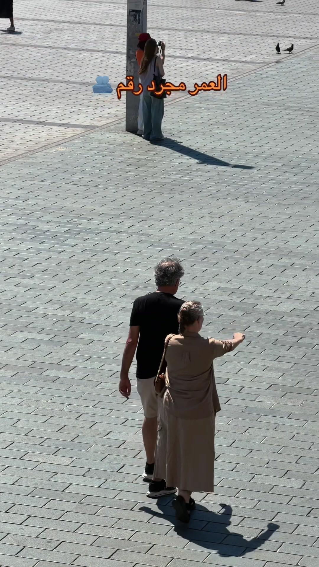 @ايوب فنشه