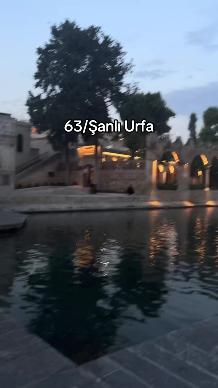 @uǝɹǝƆ 🪳