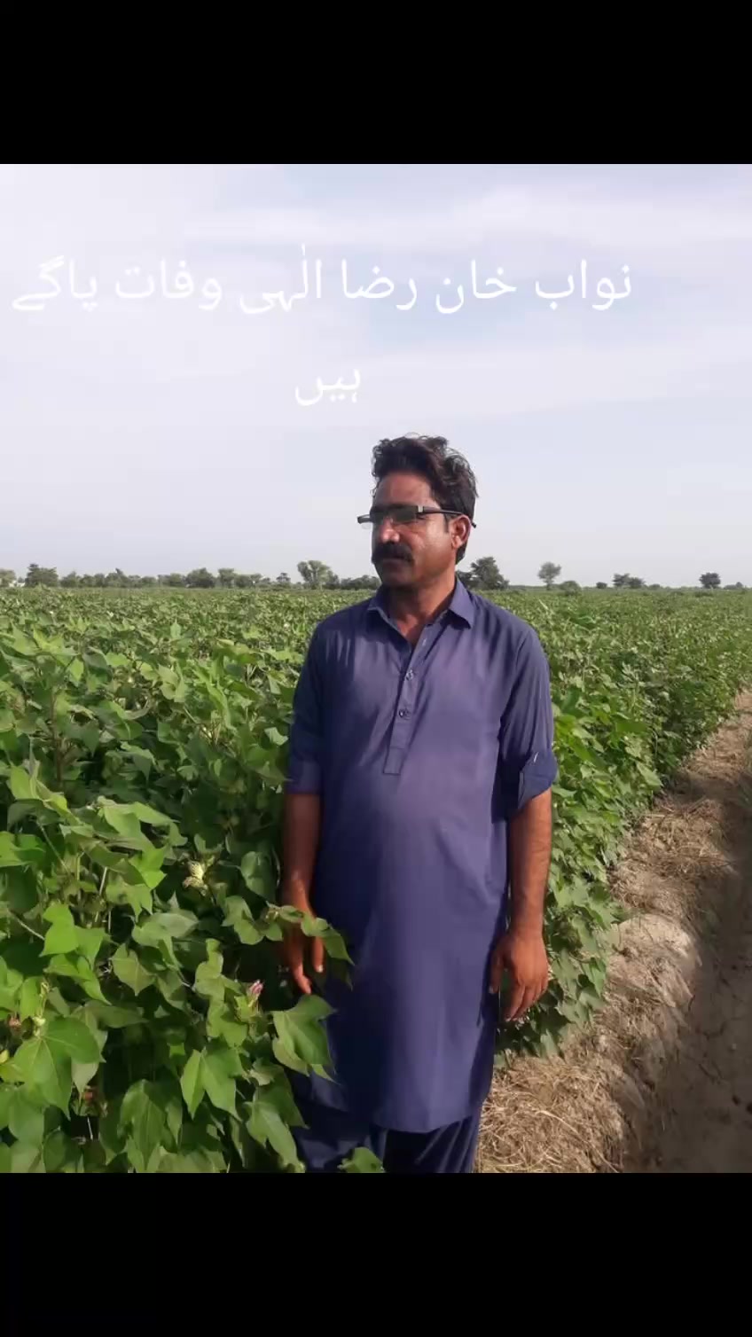 @Nawaz _Khan_Jiskani💖❤️💕❤️🩹