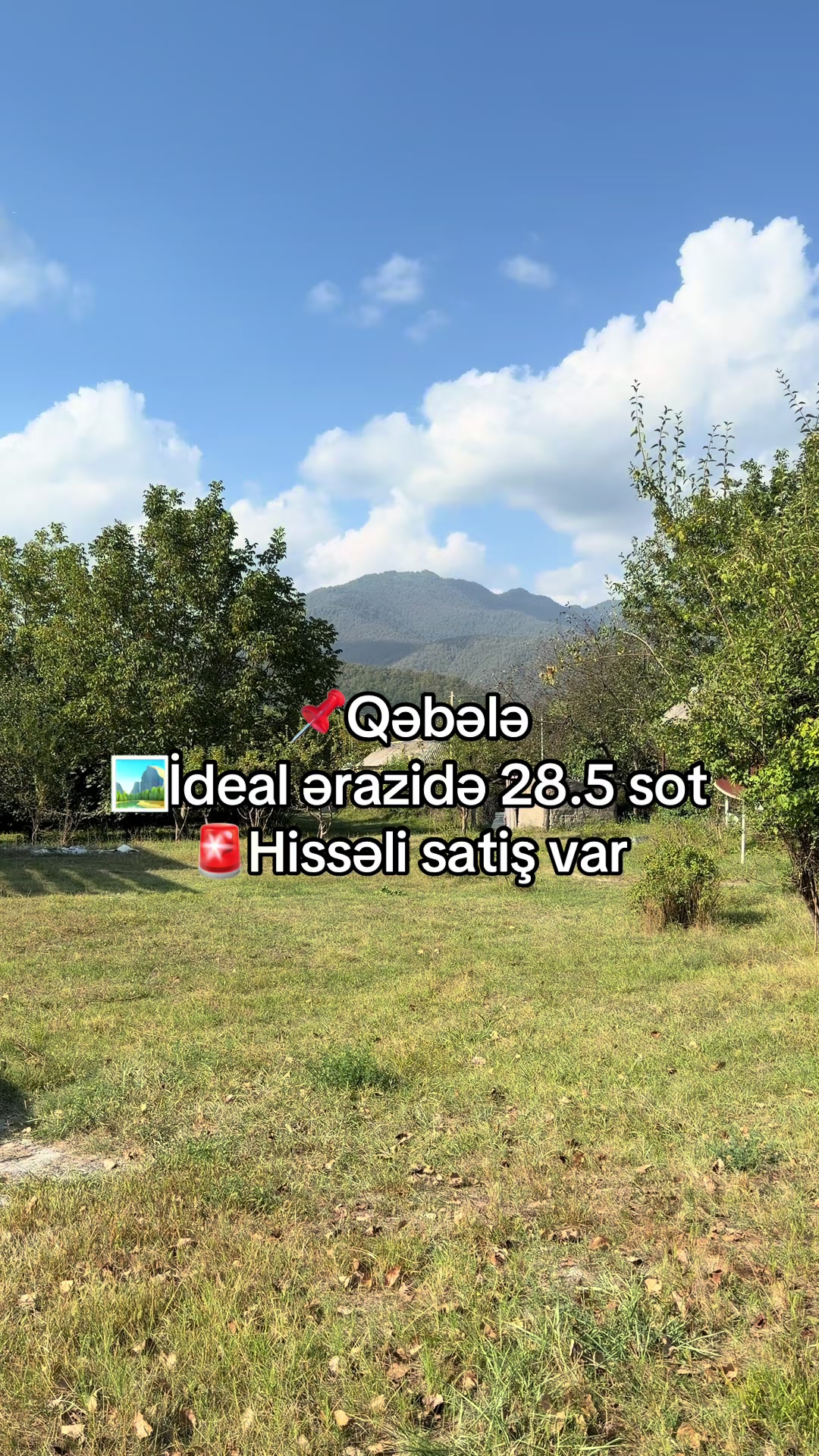@Qəbələ Əmlak