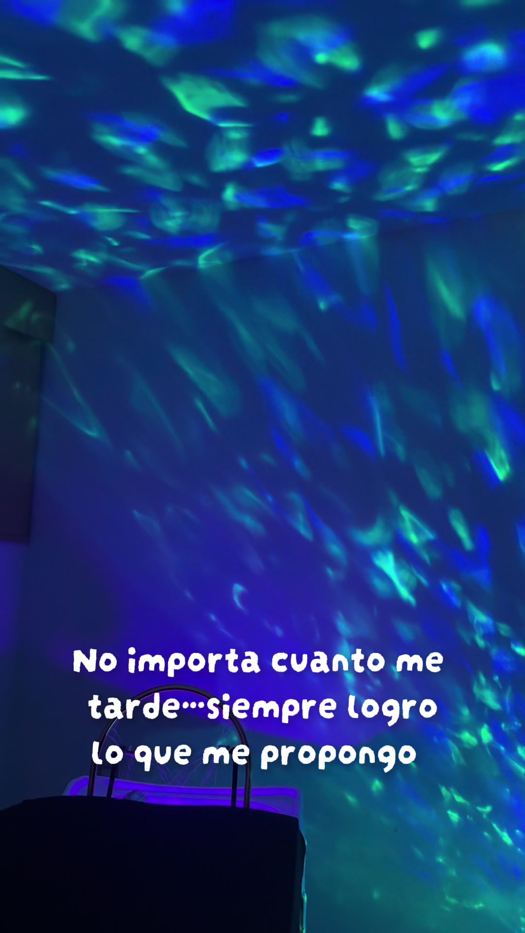 @Ximena Hau
