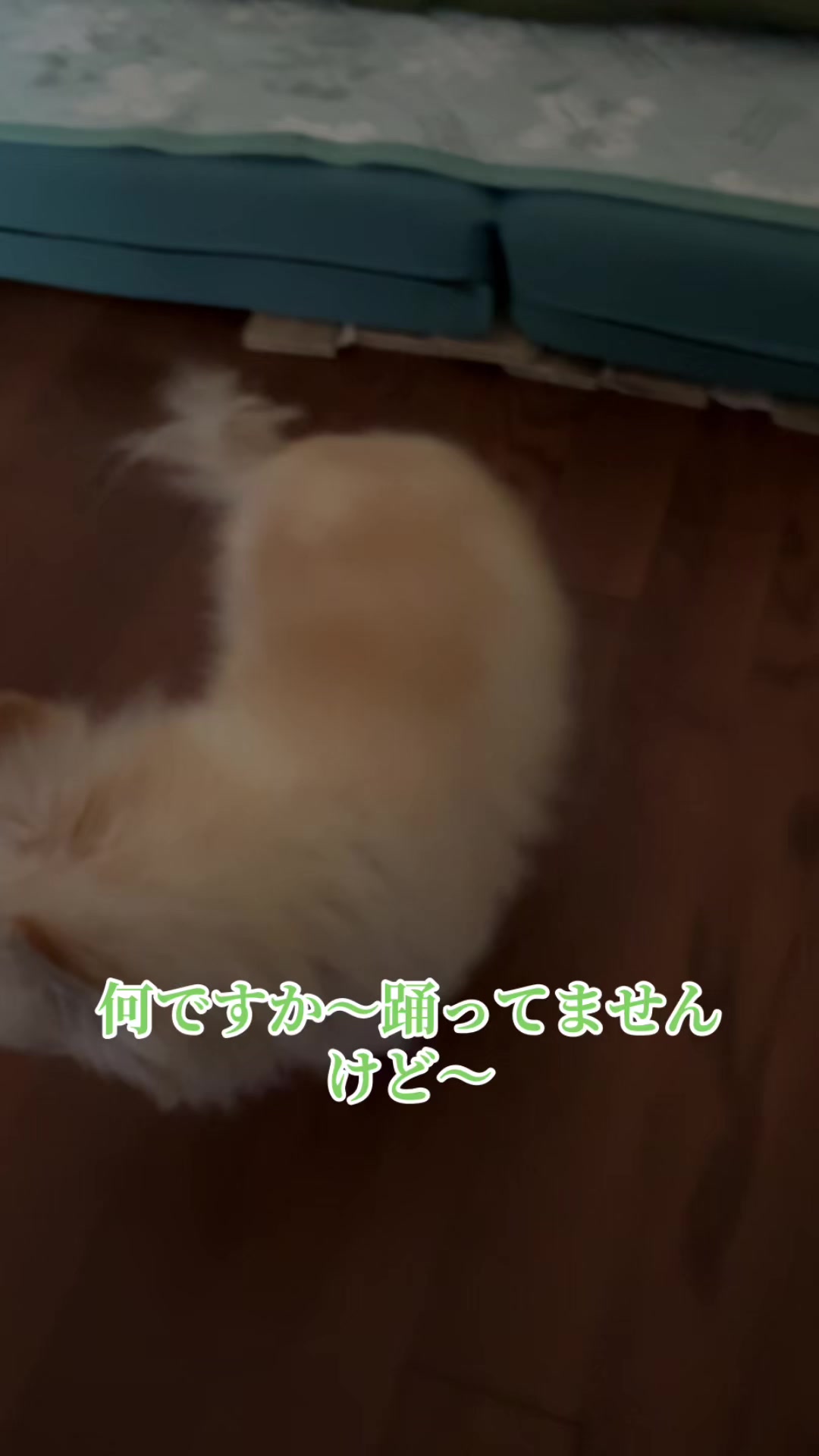 @࿗༺ 𝓚𝓪𝓽𝓾𝔂𝓪  ༻࿘