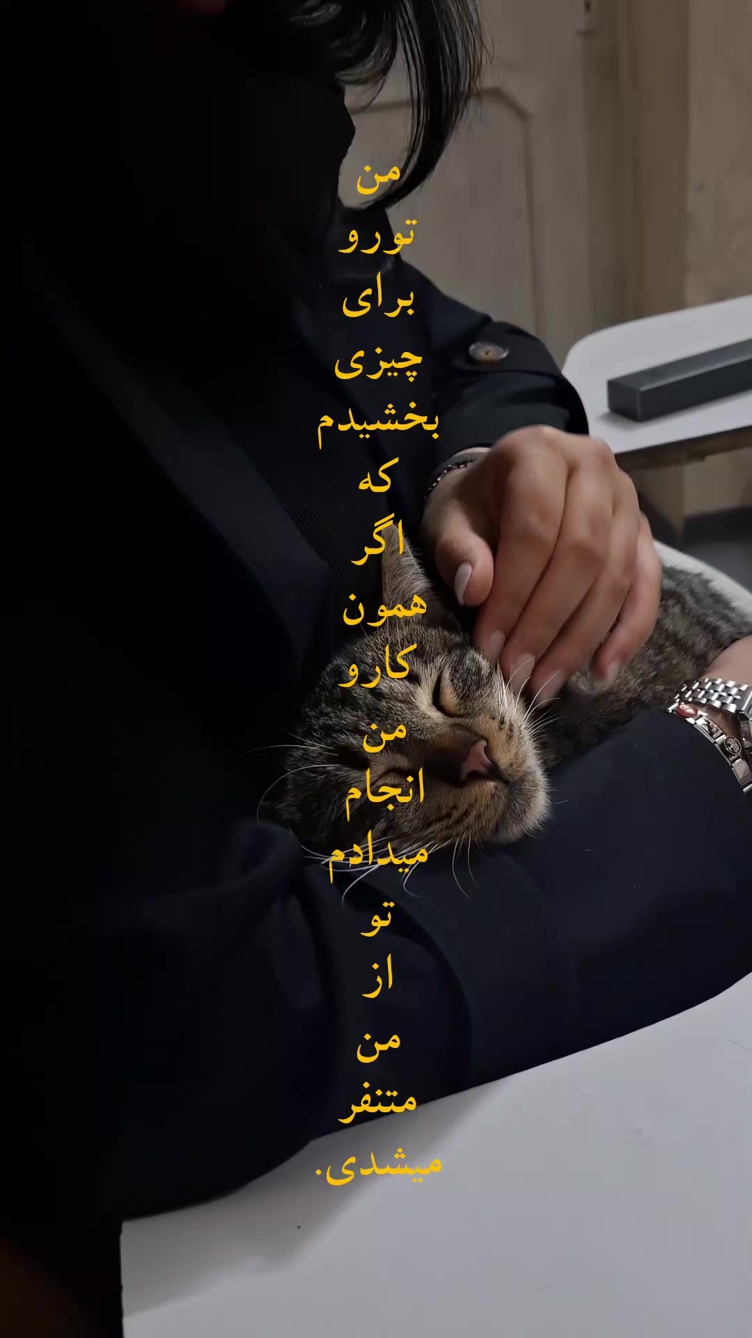 @🐈⬛