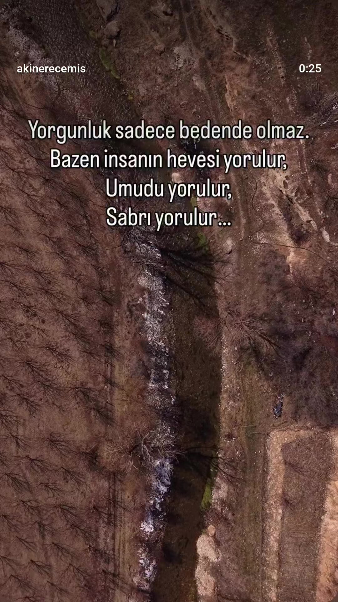 @Mehmet tc