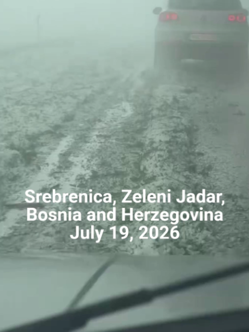 @Tetova News