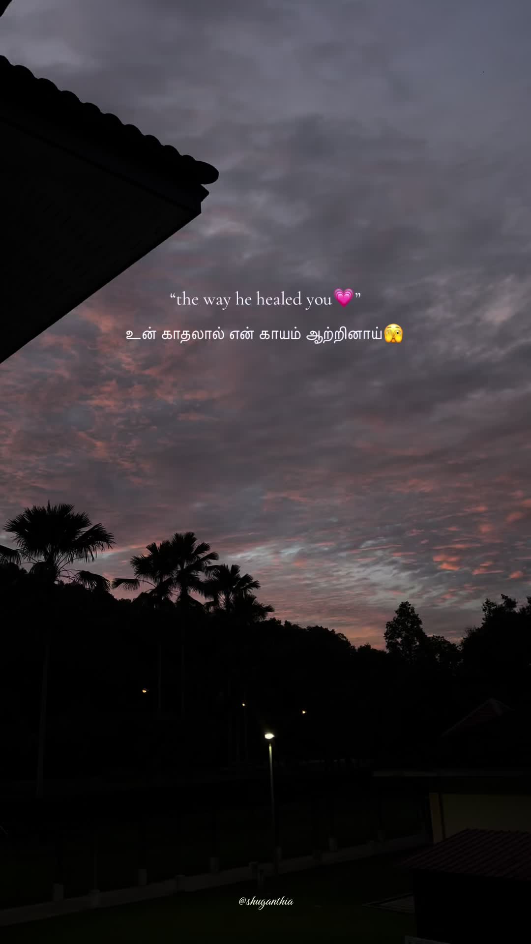 @𝓢 | 11 🎀