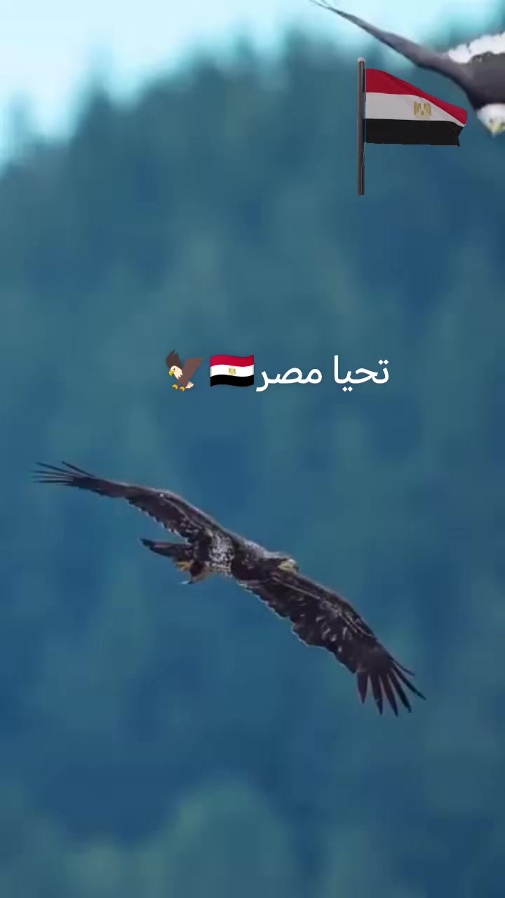 @🦅👑ahmed Al-eissawy👑🦁