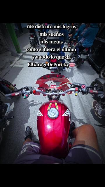@ElGarageDePorcky🐽TallerDeMts
